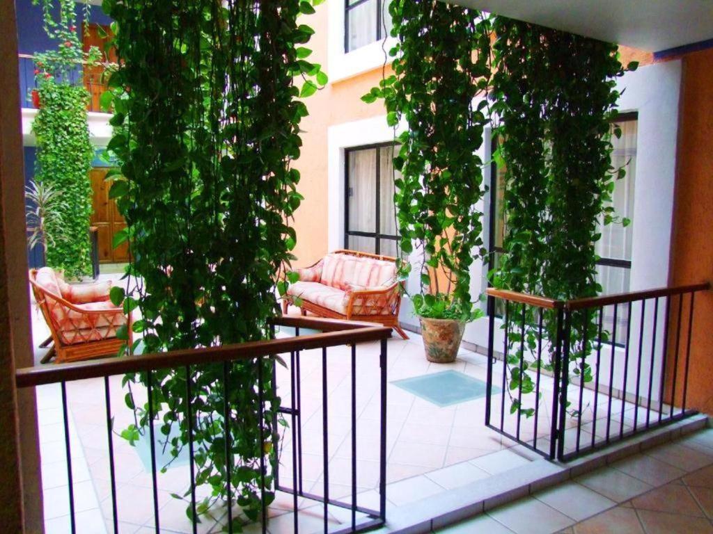 Hotel Oaxaca Dorado Exterior foto
